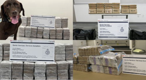 CBSA officers, detector dogs find 246 kg of cocaine at BC borders